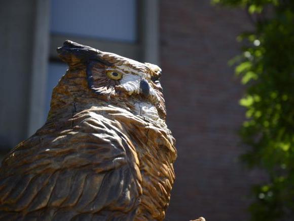 伊利校园中心前的木猫头鹰雕塑