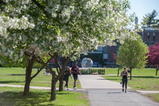 a student walks by blossoming trees outside of Courtney Hall